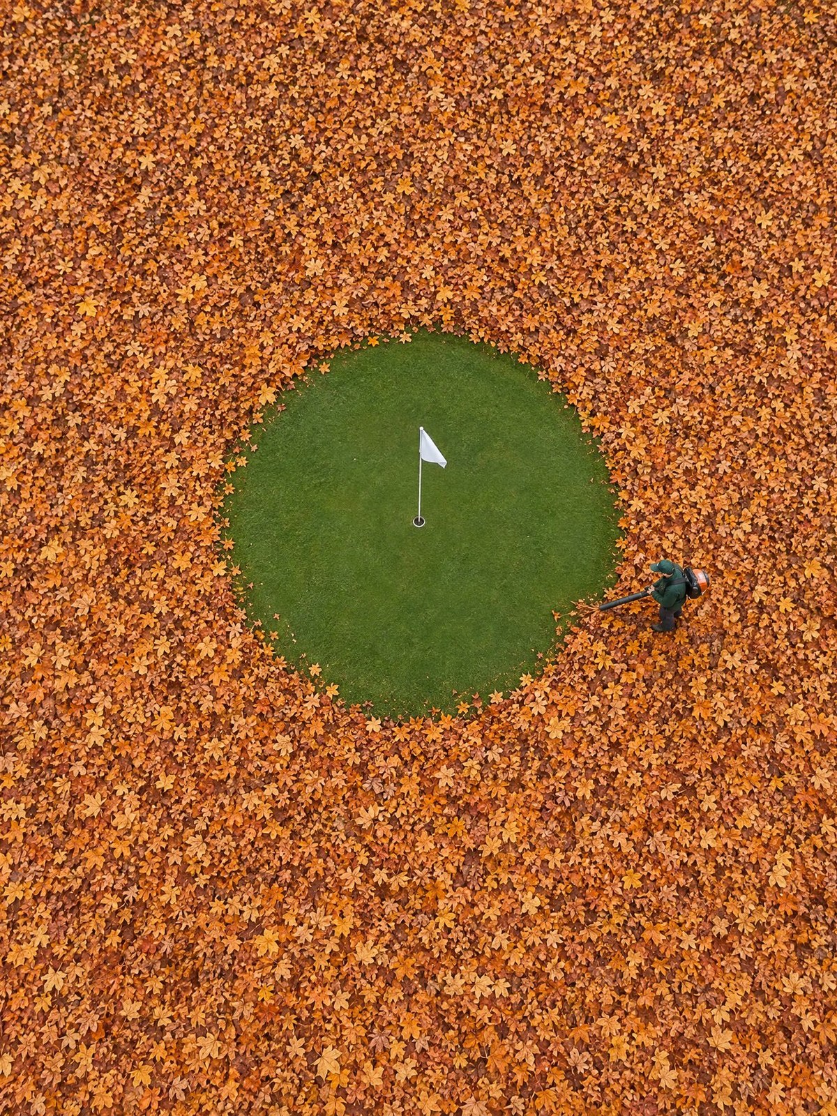 L'Oasis, œuvre de Daniel Pelcat, série Minimalistes