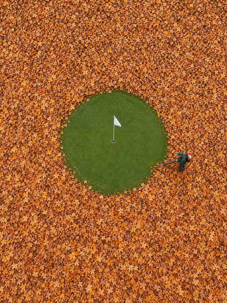 L'Oasis, tableau de golf surréaliste de Daniel Pelcat, série Minimalistes