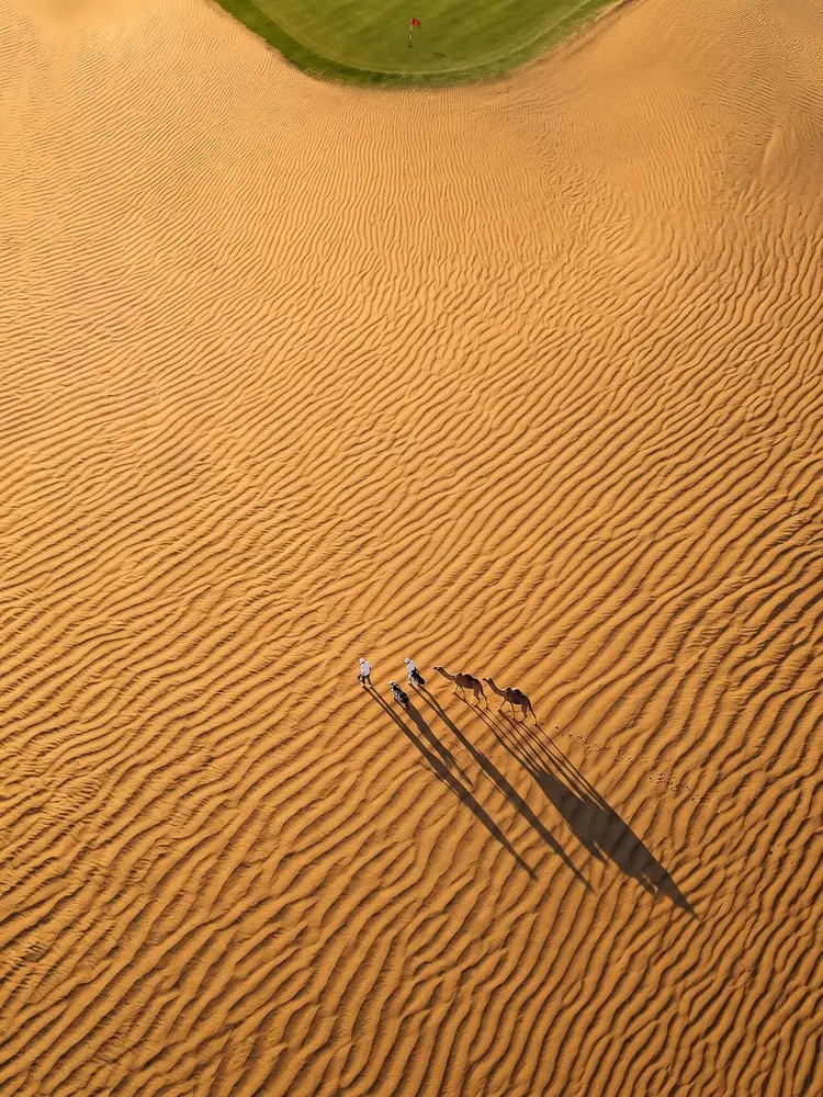 Les Ombres, tableau de golf surréaliste de Daniel Pelcat, série Minimalistes